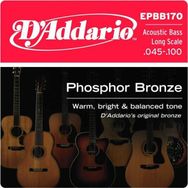 D'addario EPBB170 Akustik Bass Gitar Tel Seti