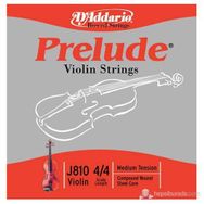 D'addario J810 Keman Tel Set
