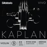 D'addario KV314 Kaplan Vıvo Scale Length 4/4 G-S Keman Tek Tel