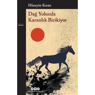 Dağ Yolunda Karanlık Birikiyor - Hüseyin Kıran