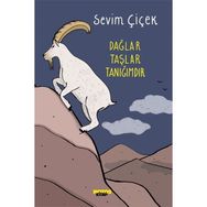 Dağlar Taşlar Tanığımdır - Sevim Çiçek