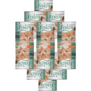 Daisy Premium 12x400 gr Yavru Kedi Konserve Maması + 3'lü Ödül Sticks