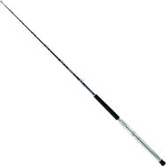 Daiwa Saltist Extreme 170 cm Olta Kamışı