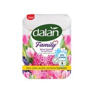 Dalan 4x75 ml Family Bahar Çiçekleri Katı Sabun