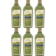 Dalan 6x400 ml Hacim Veren Şampuan