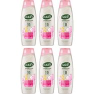 Dalan 6x450 ml Güçlü ve Parlak Şampuan