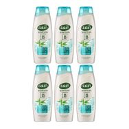 Dalan 6x450 ml Koparak Dökülen Saçlar Bambu Özlü Şampuan