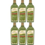 Dalan D’olive 6x400 ml Zeytinyağlı Renk Koruyucu Şampuan