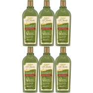Dalan D’olive 6x400 ml Zeytinyağlı Renk Koruyucu Şampuan