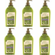 Dalan D'olive Rahatlatıcı 300 ml x 6 Adet Sıvı Sabun