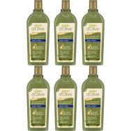 Dalan Zeytinyağlı Kepek Karşıtı 6x400 ml Şampuan