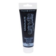 Daler Rowney 065 Paynes Grey 120 ml Akrilik Boya