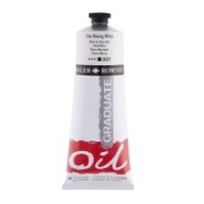 Daler Rowney Graduate 200 ml 001 Zinc Mixing White Yağlı Boya