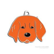 Dalis Pet Tag Yavru Golden Kızıl Köpek Künyesi