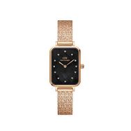 Daniel Wellington DW00600579 Kadın Kol Saati