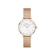 Daniel Wellington DW00600590 Kol Saati