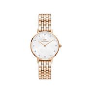 Daniel Wellington DW00600613 Kadın Kol Saati