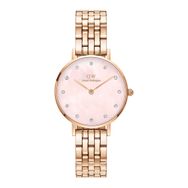 Daniel Wellington DW00600617 Kadın Kol Saati