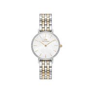 Daniel Wellington DW00600665 Kadın Kol Saati