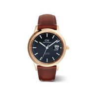 Daniel Wellington DW00600758 Erkek Kol Saati