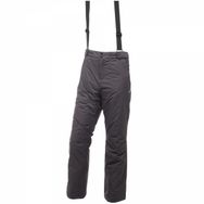 Dare 2B Divedown Gri Erkek Kayak Pantolonu