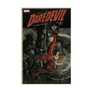 Daredevil, Vol. 2 - Mark Waid