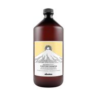 Davines Natural Tech Kepekli Saçlar İçin 1000 ml Kepek Önleyici Şampuan
