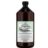 Davines Revitalizing 1 lt Şampuan