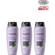 Daycare 3x600 ml Isırgan At Kuyruğu Şampuan
