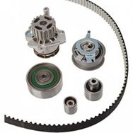 Dayco KTBWP7880 Triger Rulman Kiti