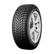 Dayton 185/65 R15 88T DW510E Evo Kış Lastiği