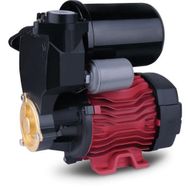 Dayuan DGP130B 2 Yıl Garantili Hidromatlı Vortex Su Pompası Motoru