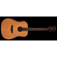 Dean AXDGN Akustik Gitar