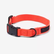 Decathlon Solognac 100 Avcılık ve Doğa Gözlemi Turuncu Köpek Tasması