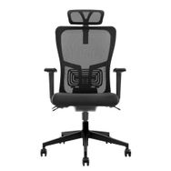 Decofis Lumbar Plus Fileli Yönetici Koltuğu