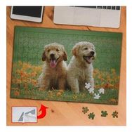 DEF68 Küçük Köpek Kardeşler 240 Parça Puzzle Yapboz Tablo