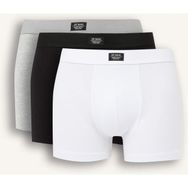 DeFacto A3152AX25AU Regular Fit 3'lü Boxer