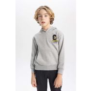 DeFacto B9012A823CW GR210 Baskılı Kapüşonlu Kalın Erkek Çocuk Sweatshirt