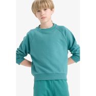 DeFacto E8415A825AU Yeşil Bisiklet Yaka Basic Düz Okul Erkek Çocuk Sweatshirt