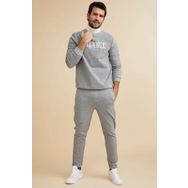 DeFacto N2476AZ.20SP.GR110 Gri Slim Fit Erkek Eşofman Altı
