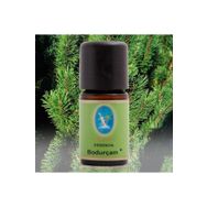 Defne Nuka Essencia 10 ml Bodur Çam Yağı