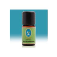 Defne Nuka Essencia 10 ml Karanfil Yaprağı Yağı