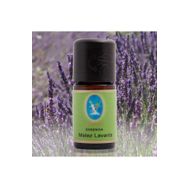 Defne Nuka Essencia 5 ml Melez Lavanta Uçucu Yağı