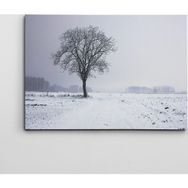 Dekolata Ağaç 50x70 cm Kanvas Tablo