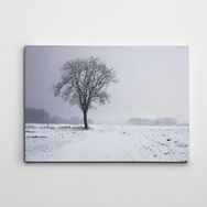Dekolata Ağaç 70x100 cm Kanvas Tablo