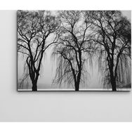 Dekolata Ağaçlar 40x60 cm Kanvas Tablo
