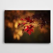 Dekolata Akçaağaç Yaprakları 100x140 cm Kanvas Tablo