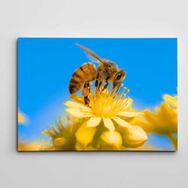 Dekolata Arı ve Çiçek 50x70 cm Kanvas Tablo