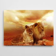 Dekolata Aslan 50x70 cm Kanvas Tablo