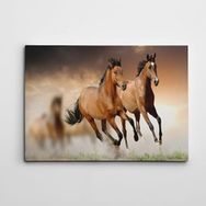 Dekolata Atlar 3 50x70 cm Kanvas Tablo